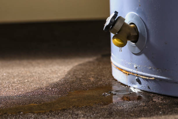 Best Water damage repair service  in Carbonville, UT