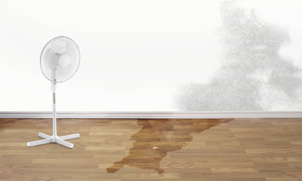 Best Water damage restoration near me  in Carbonville, UT