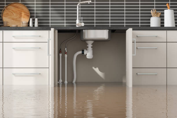  Carbonville, UT Water damage restoration Pros